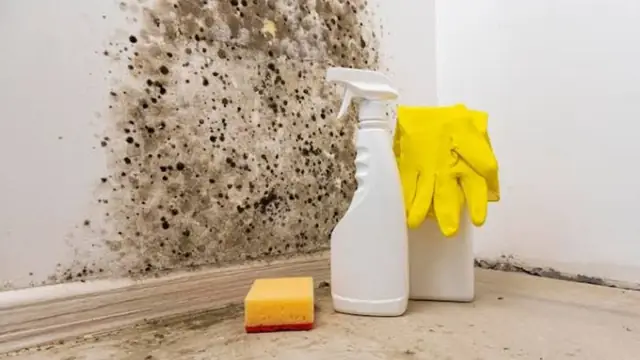 Mold spots on a wall above a baseboard with gloves and spray bottles beside it