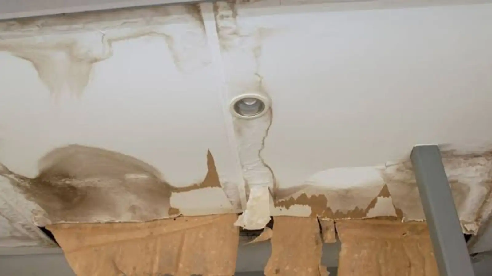 Water-stained ceiling with a recessed light and peeling drywall