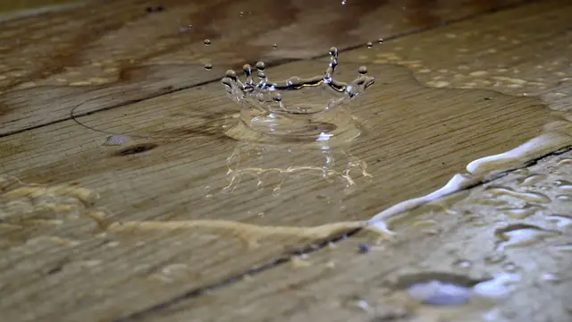 Water pooling and soaking into wood floor planks