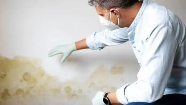 Technician in a mask inspecting a stained wall for hidden moisture